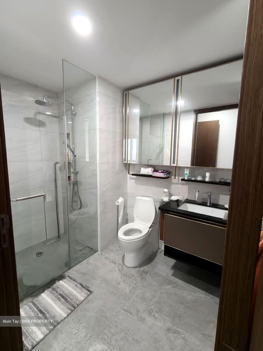 Normanton Park (D5), Apartment #551843321